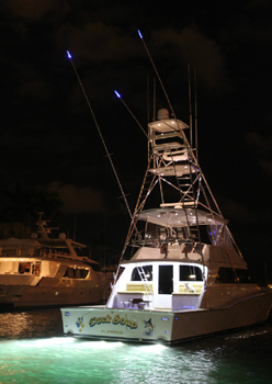 clientuploads/news/April 2012 copy 1/Illuminations_2.jpg